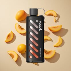 VOZOL Gear Shisha 25000 Puffs Mango-Őszibarack Dual Mesh Dual Modes 5mg/ml Nikotin