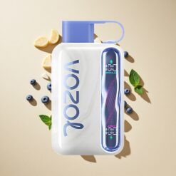 VOZOL STAR 40000 Puffs Egyhasználatos E-cigaretta Áfonya-Menta 1000mAh Akkumulátor és Típus-C töltés