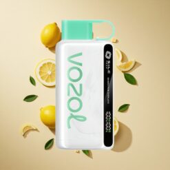 VOZOL STAR 9000/12000 Eldobható E-cigaretta Citrom Menta Rázás a Kijelzőért 650mAh Akkumulátor