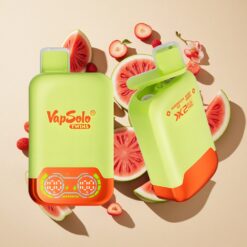 Vapsolo Twins 20000 Puffs Dinnye Jég & Vegyes Bogyó 40 ml és Type-C